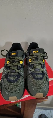 Puma
