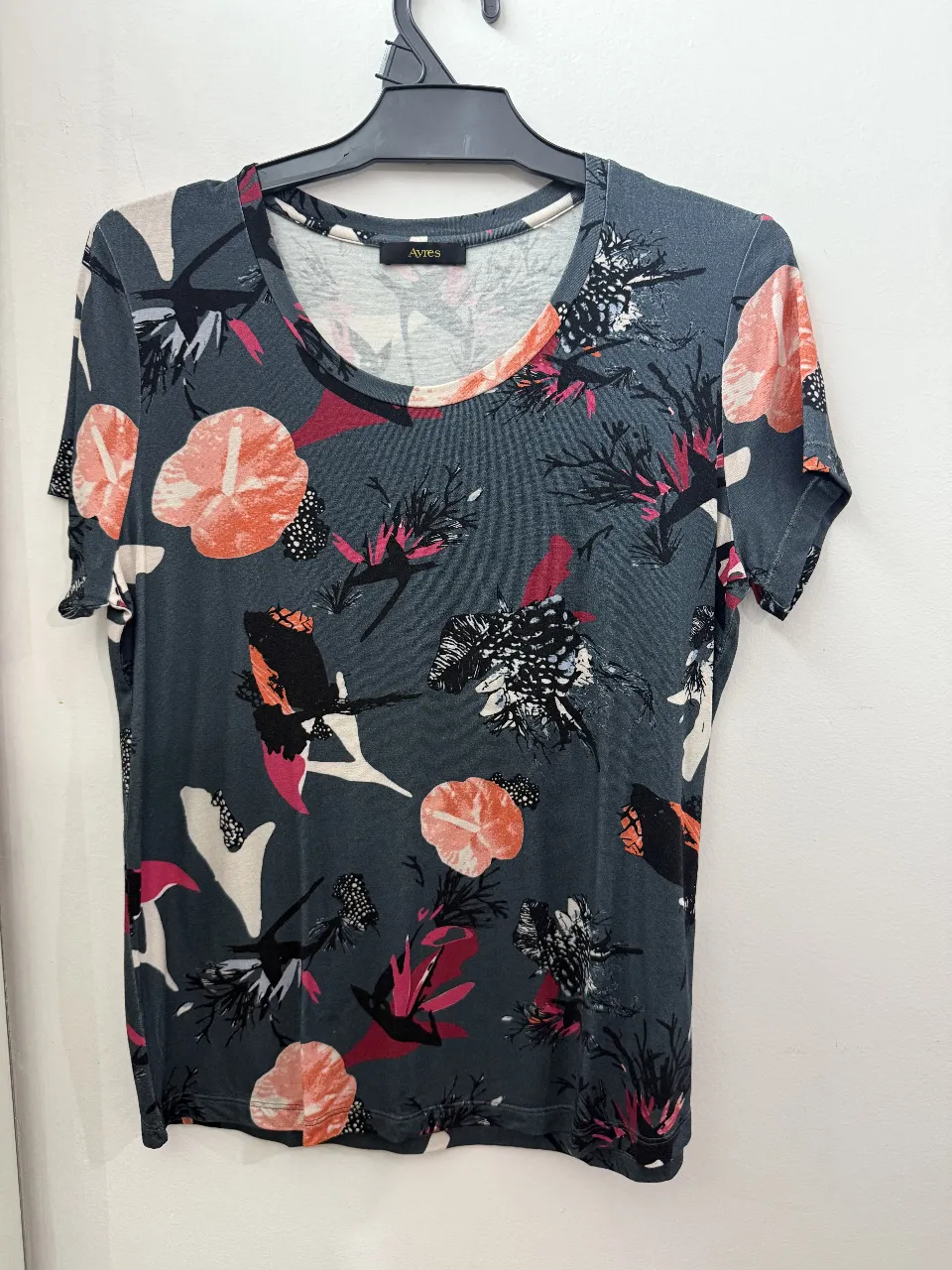 Remera Ayres