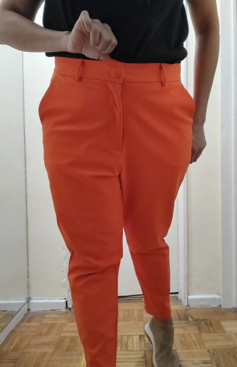 Pantalón sastrero naranja liso, con cierre y botón. Posee 2 bolsillos delanteros, y los 2 traseros son de fantasía. 
Cierre y botón forrado. 

Detalles de medidas
Largo total 95 cm 
Cintura 41 cm 
Cadera 56 cm 
Largo de tiro 35 cm 