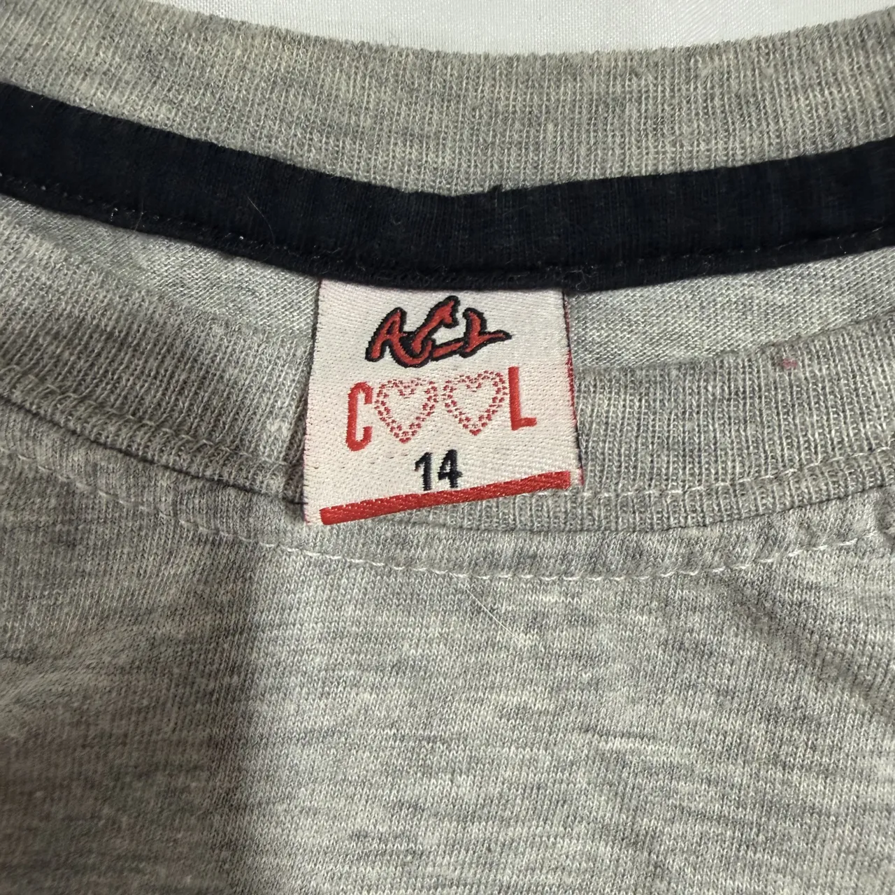 Camisa manga larga Acl cool - imagen 2