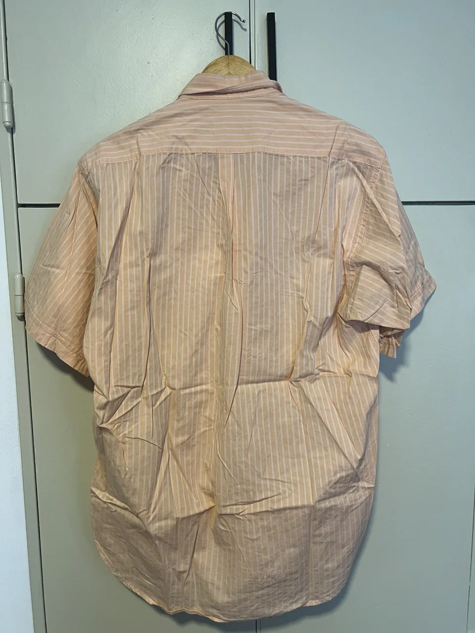 Camisa Scottfield - imagen 2