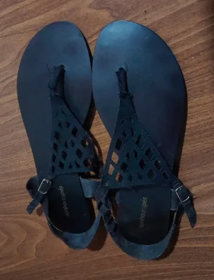 Sonhodipes
