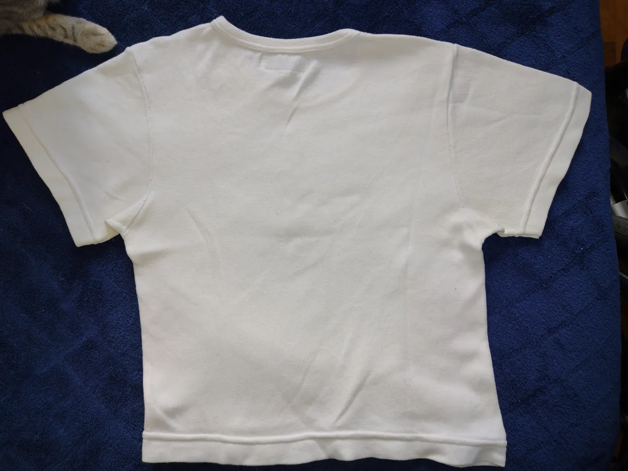 Remera Otra miniatura 2