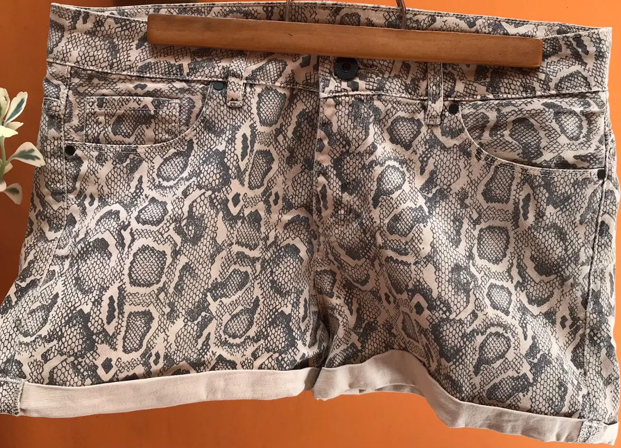 Short Ayres - imagen 1