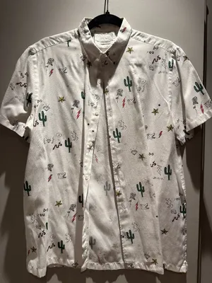 Zara Man