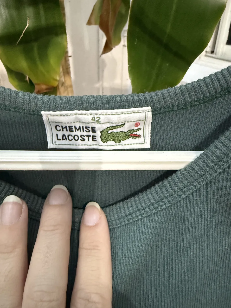 Musculosa Lacoste - imagen 2