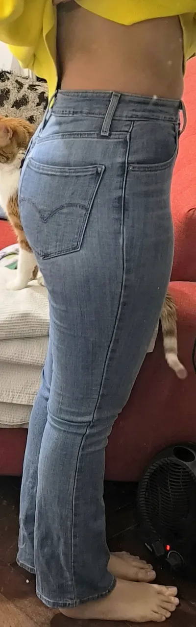 Jean Levi's miniatura 4