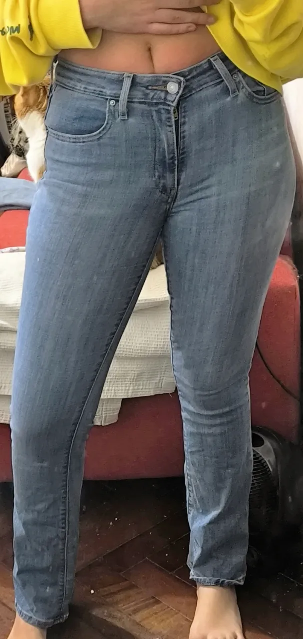 Jean Levi's miniatura 6