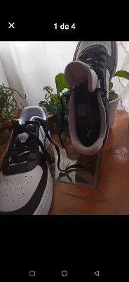 Puma