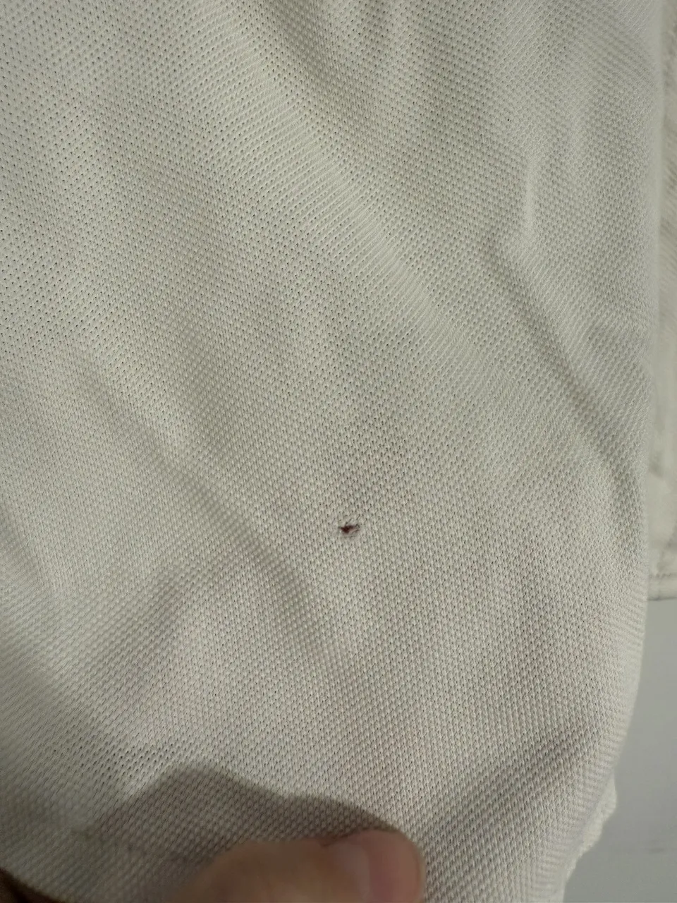 Camisa Polo Ralph Lauren - imagen 3