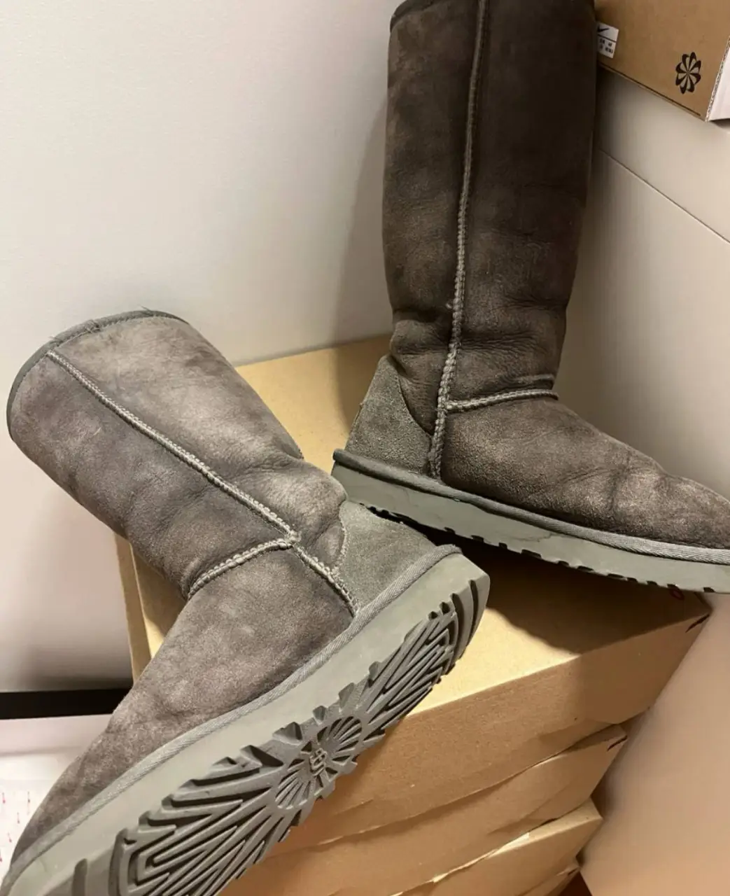 Botas UGG - imagen 1