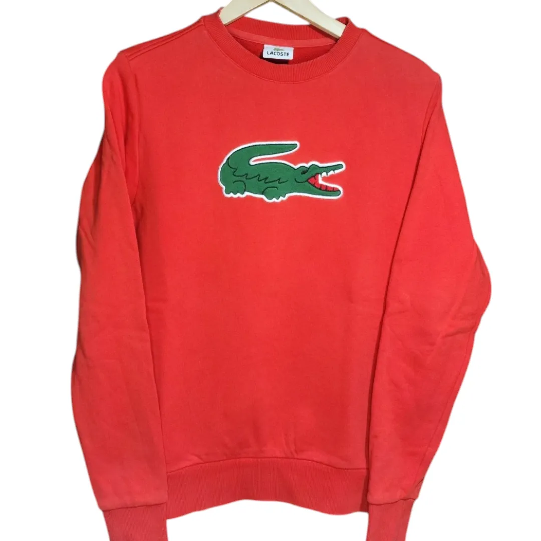 Buzo Lacoste - imagen 1
