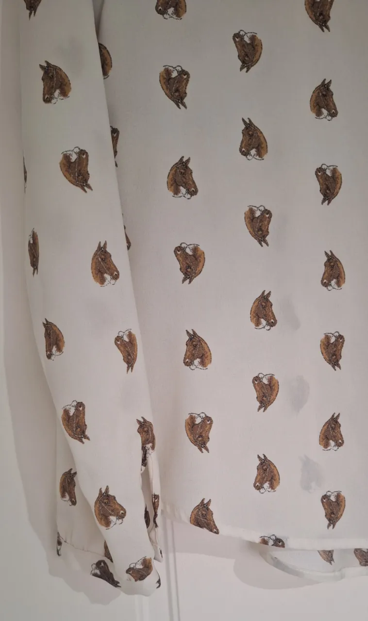 Camisa Zara Woman - imagen 5