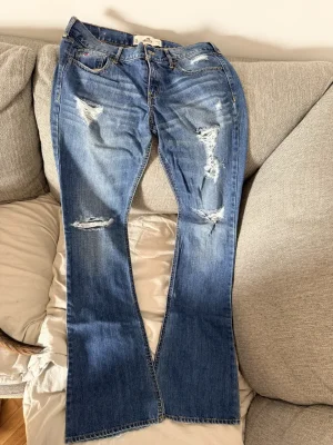 Hollister