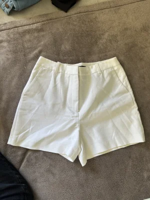 Zara Basic
