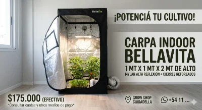 Bellavita