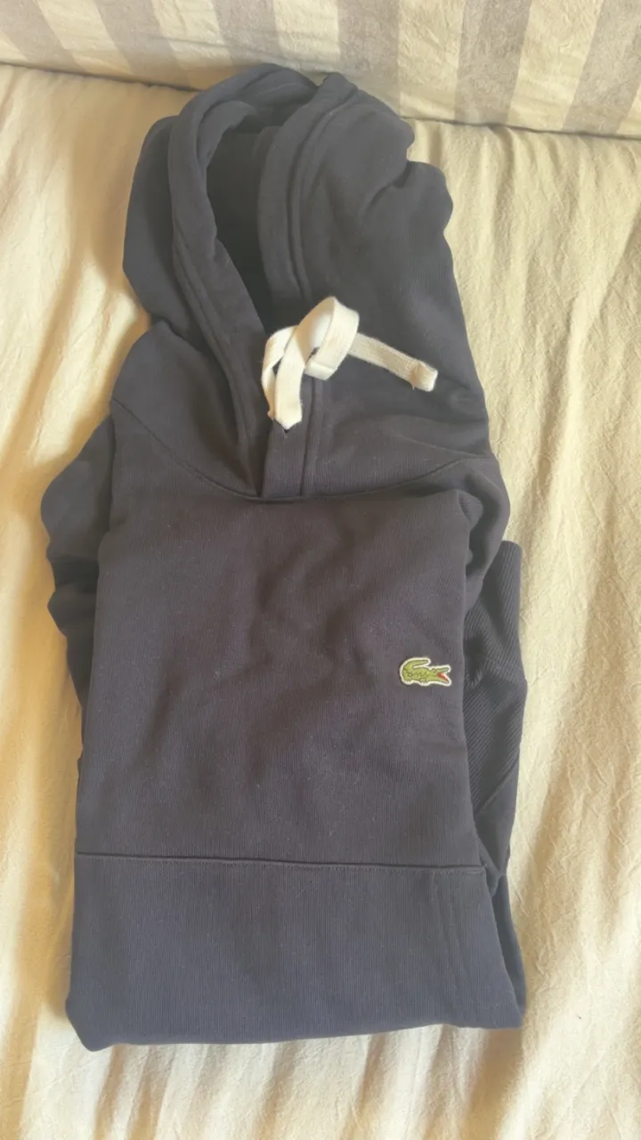 Buzo Lacoste - imagen 3