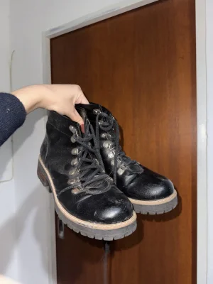 Borcegos