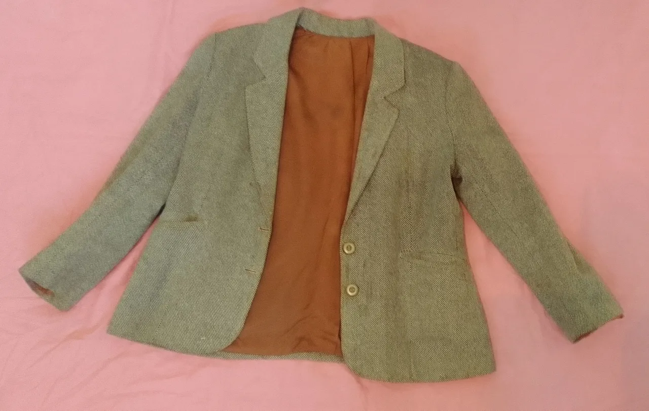 Blazer Delacroix - imagen 2