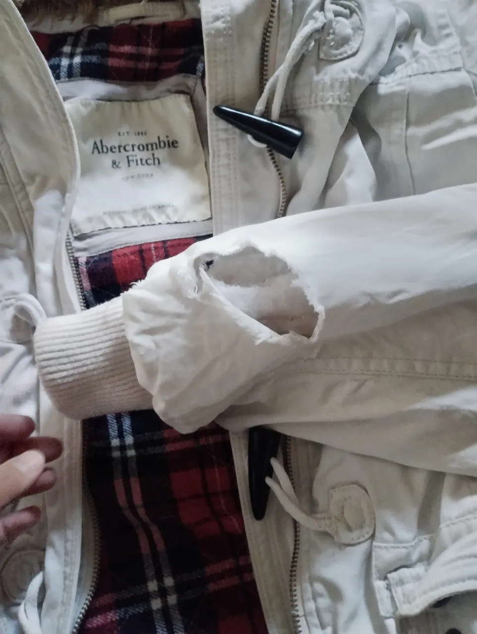 Campera Abercrombie & Fitch - imagen 2