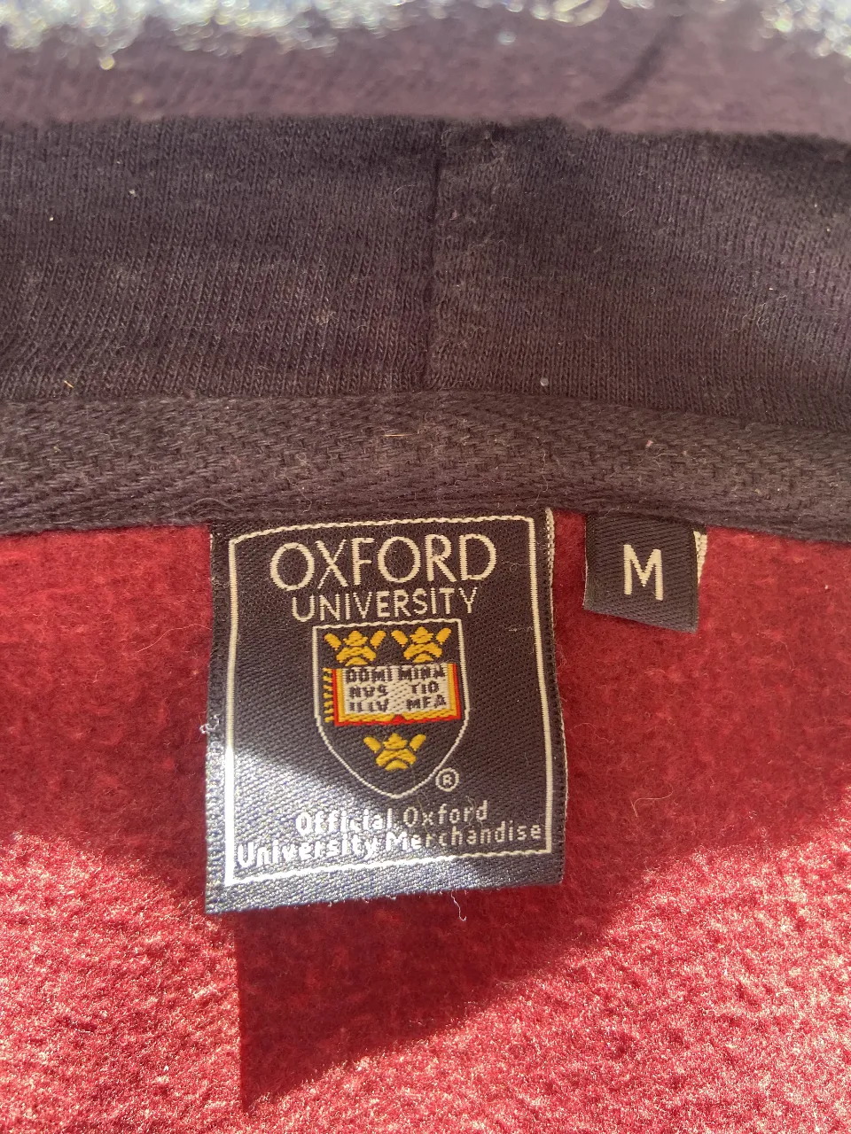 Buzo University oxford - imagen 2