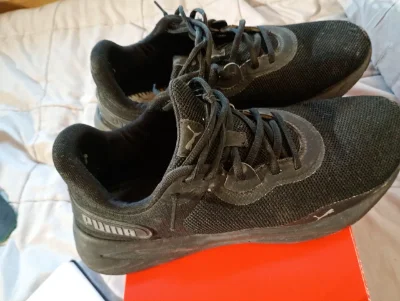 Puma