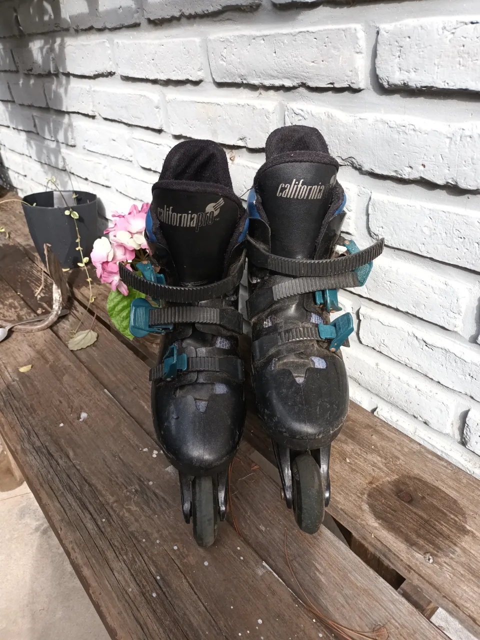 Patines California pro - imagen 2
