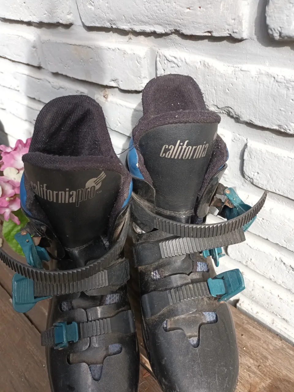 Patines California pro - imagen 1