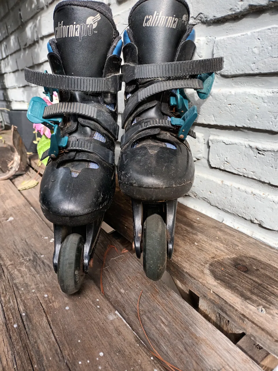 Patines California pro - imagen 3