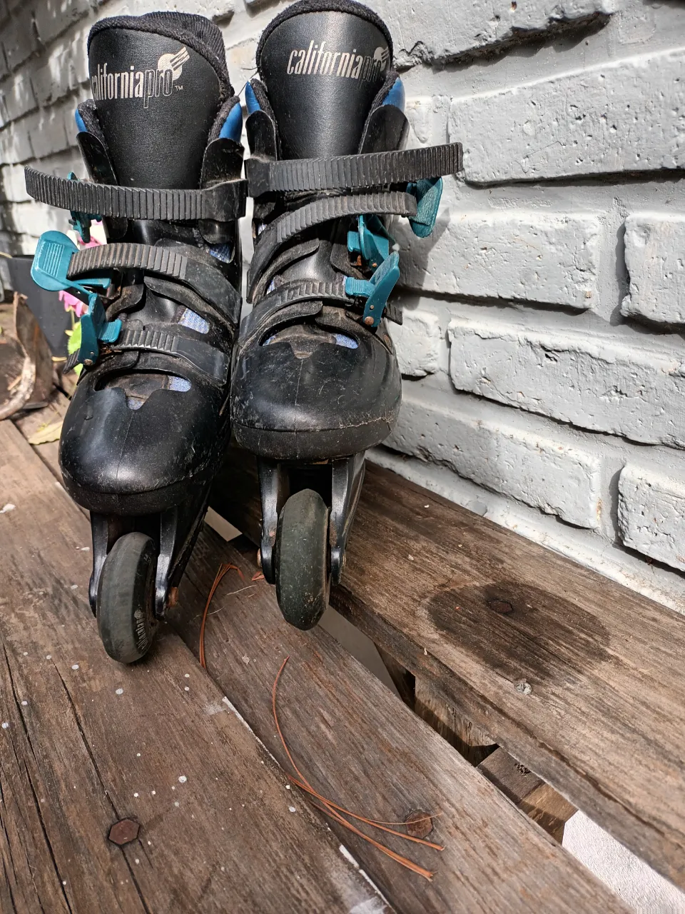Patines California pro - imagen 4