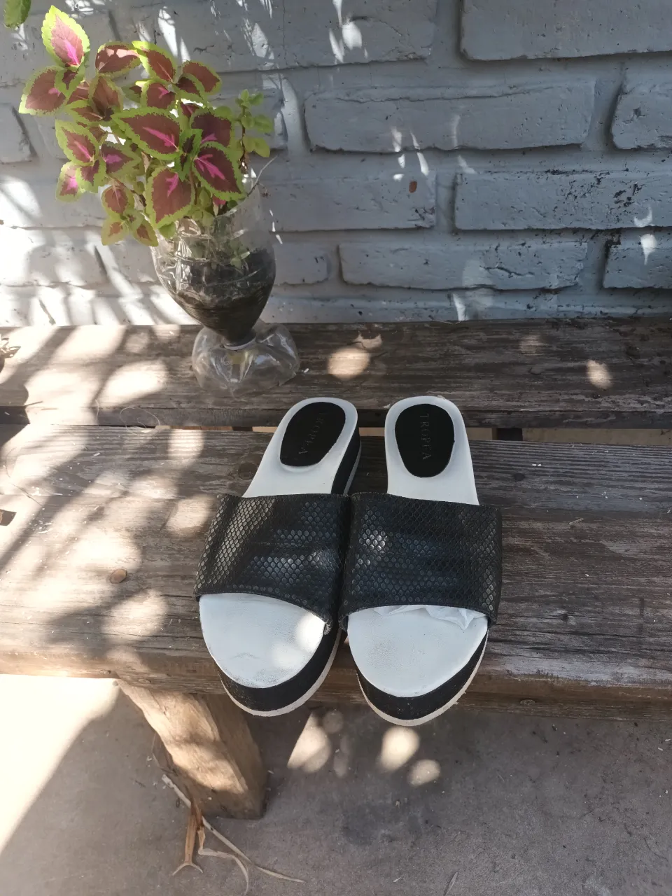 Sandalias Tropea - imagen 2