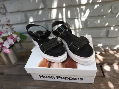 Hush Puppies