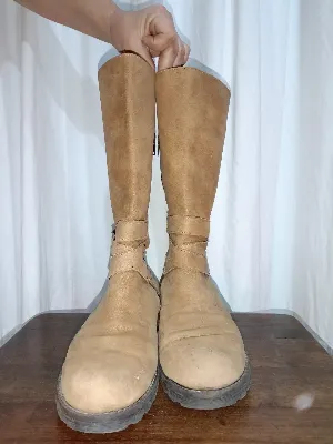 Chiarini