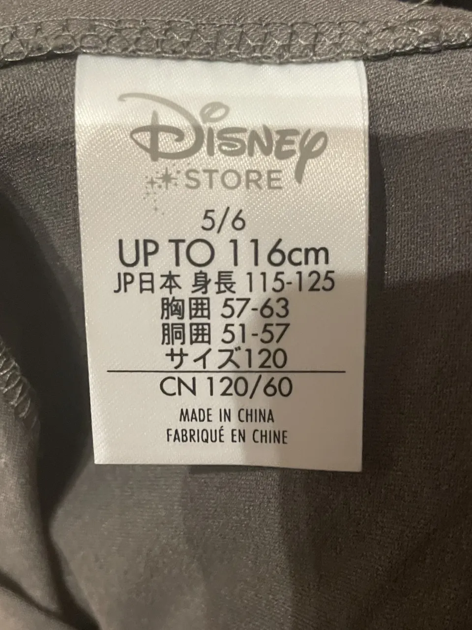 Disfraz Disney miniatura 4