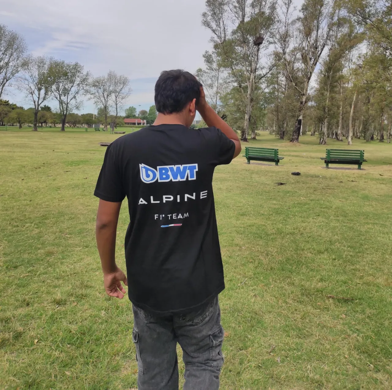 Remera Alpine - imagen 2