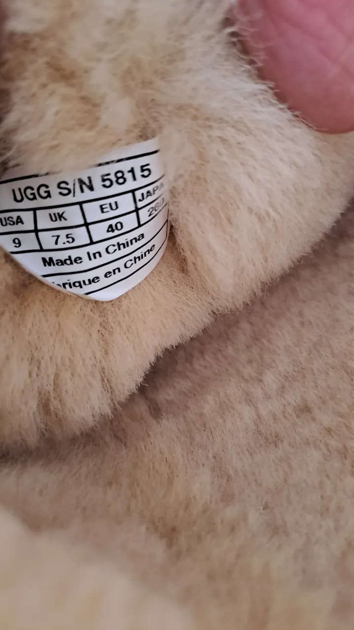 Botas UGG - imagen 4