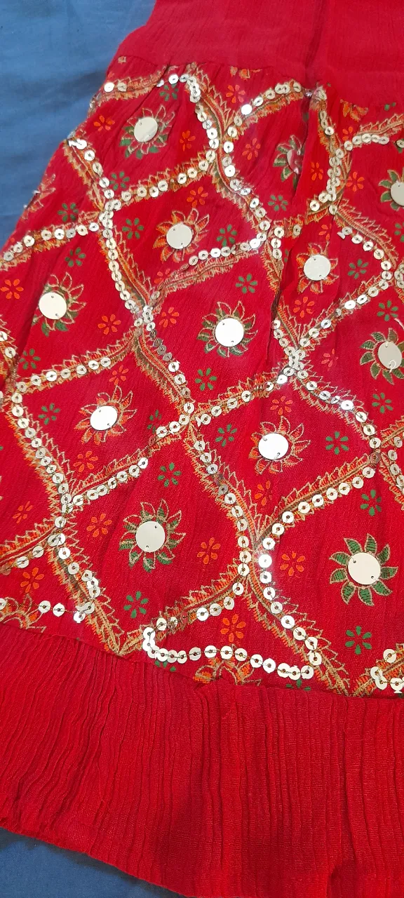 Pollera Made in india - imagen 3