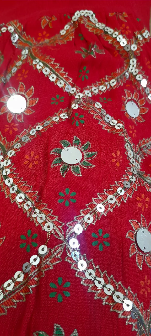Pollera Made in india - imagen 5