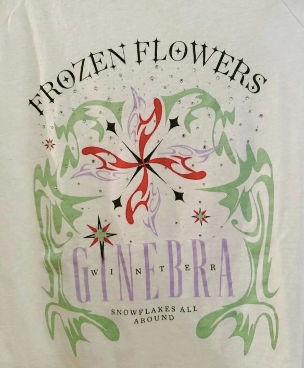 Remera Ginebra - imagen 2