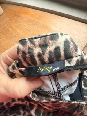 Ayres