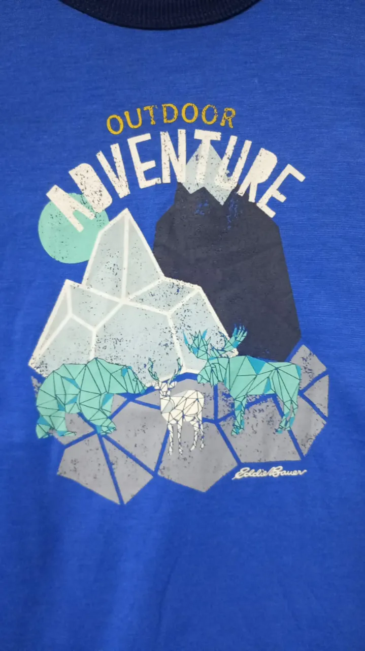 Remera Eddie Bauer - imagen 4