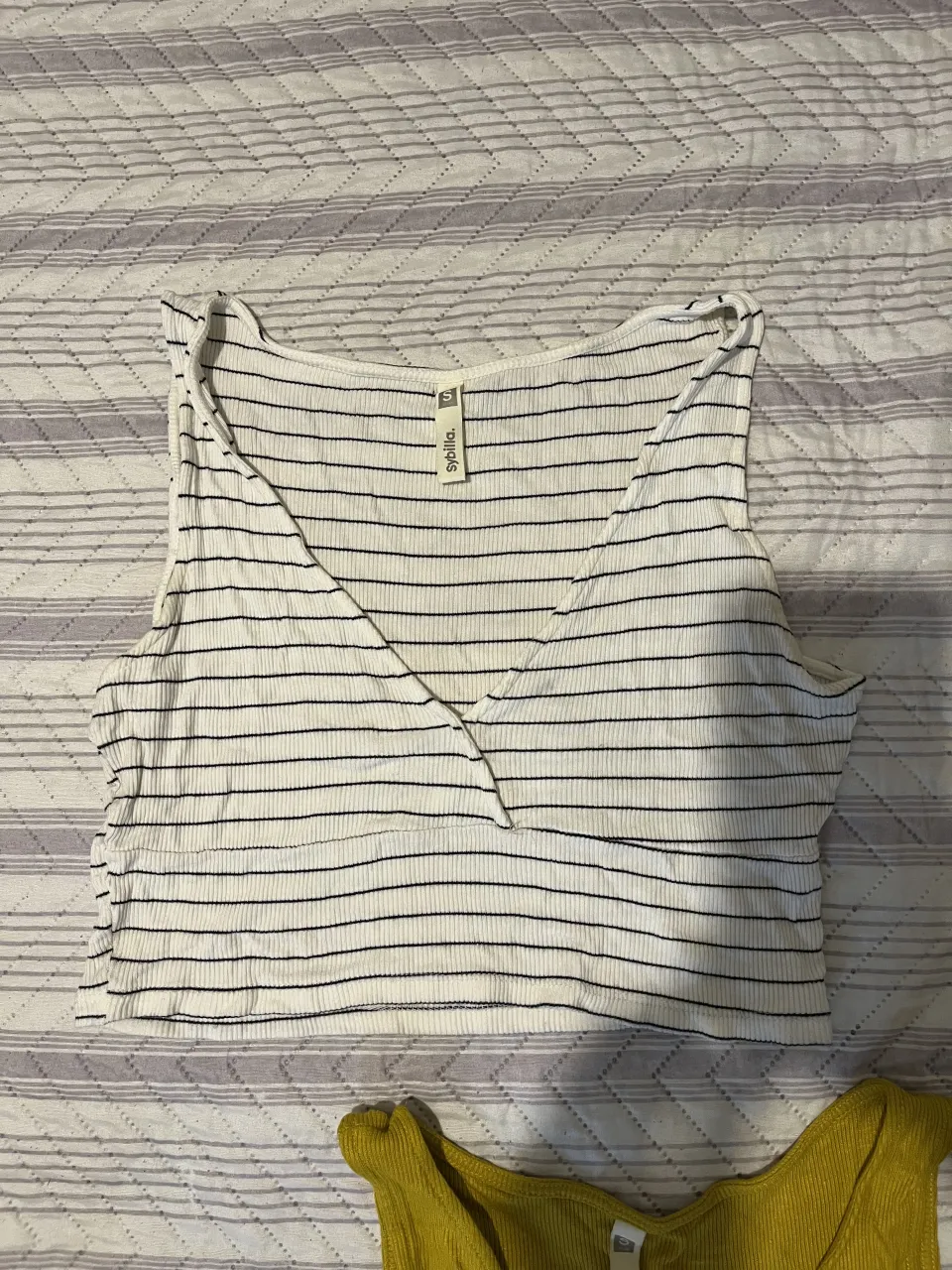 Musculosa Americanino - imagen 3
