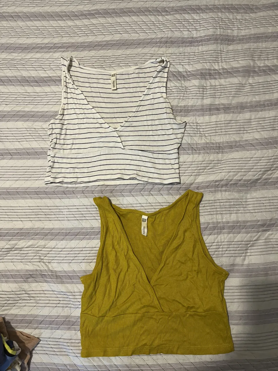 Musculosa Americanino - imagen 2