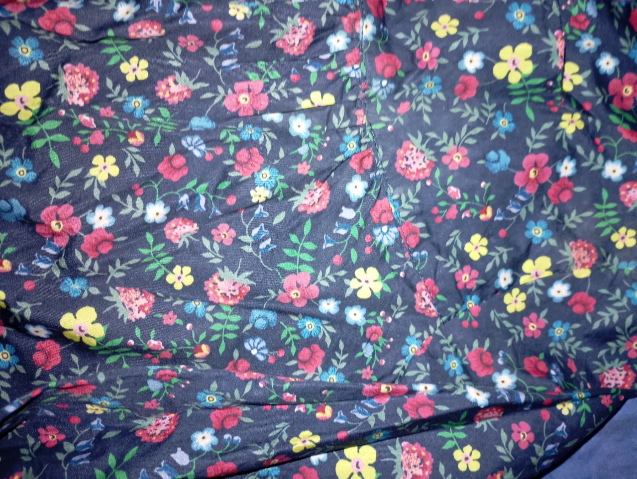 Camisa manga larga Paula Cahen D'Anvers - imagen 2