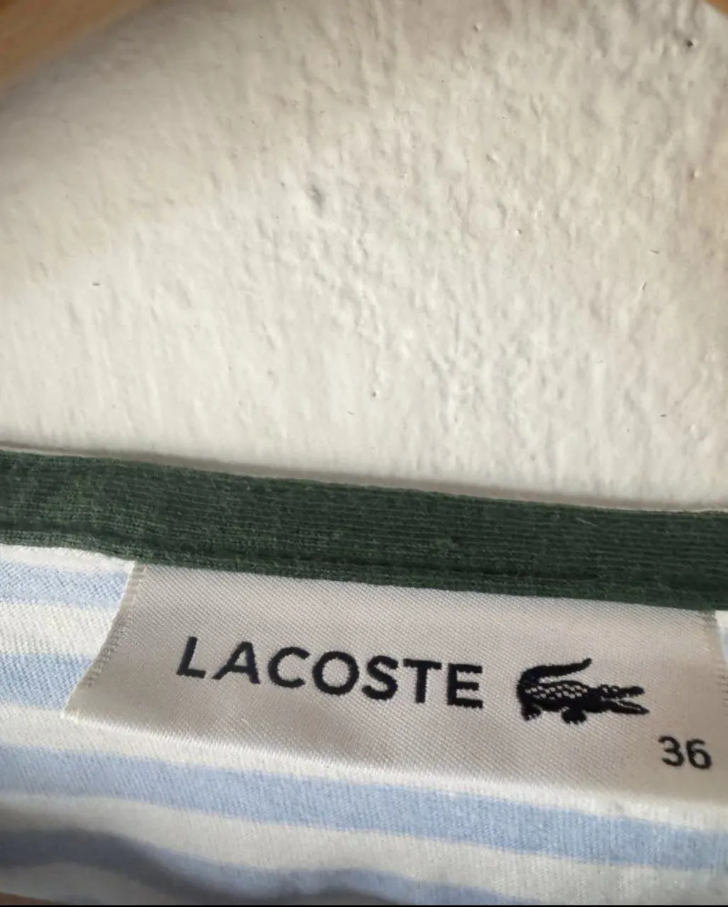 Remera Lacoste - imagen 5