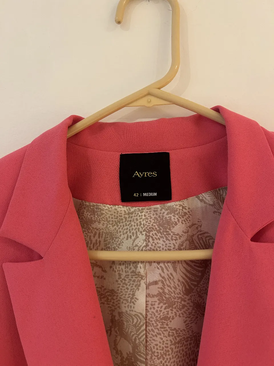 Blazer Ayres - Vista 2