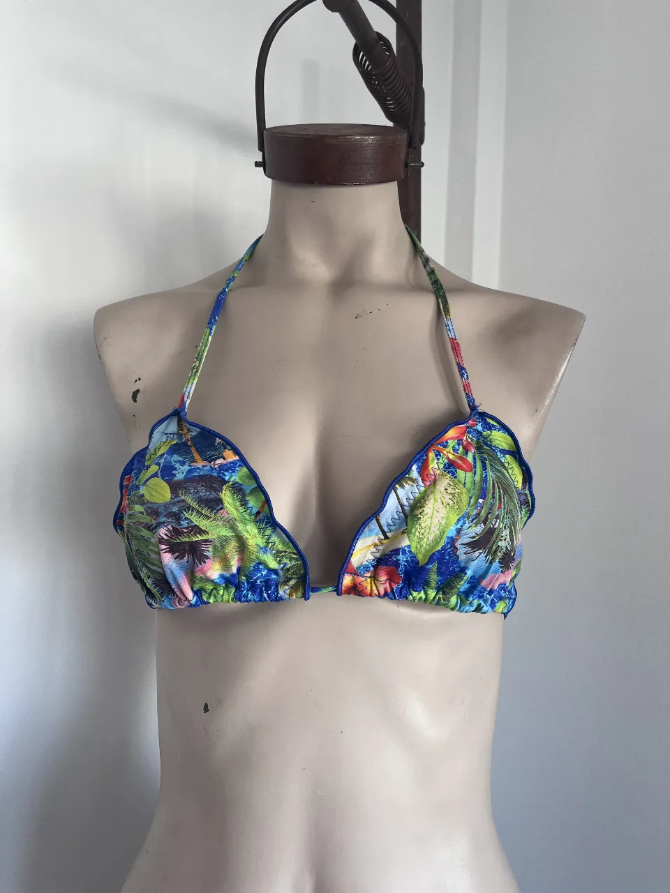 Bikini Brasilera - imagen 1