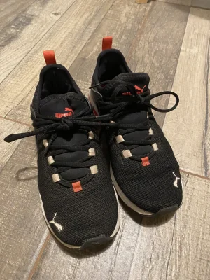 Puma