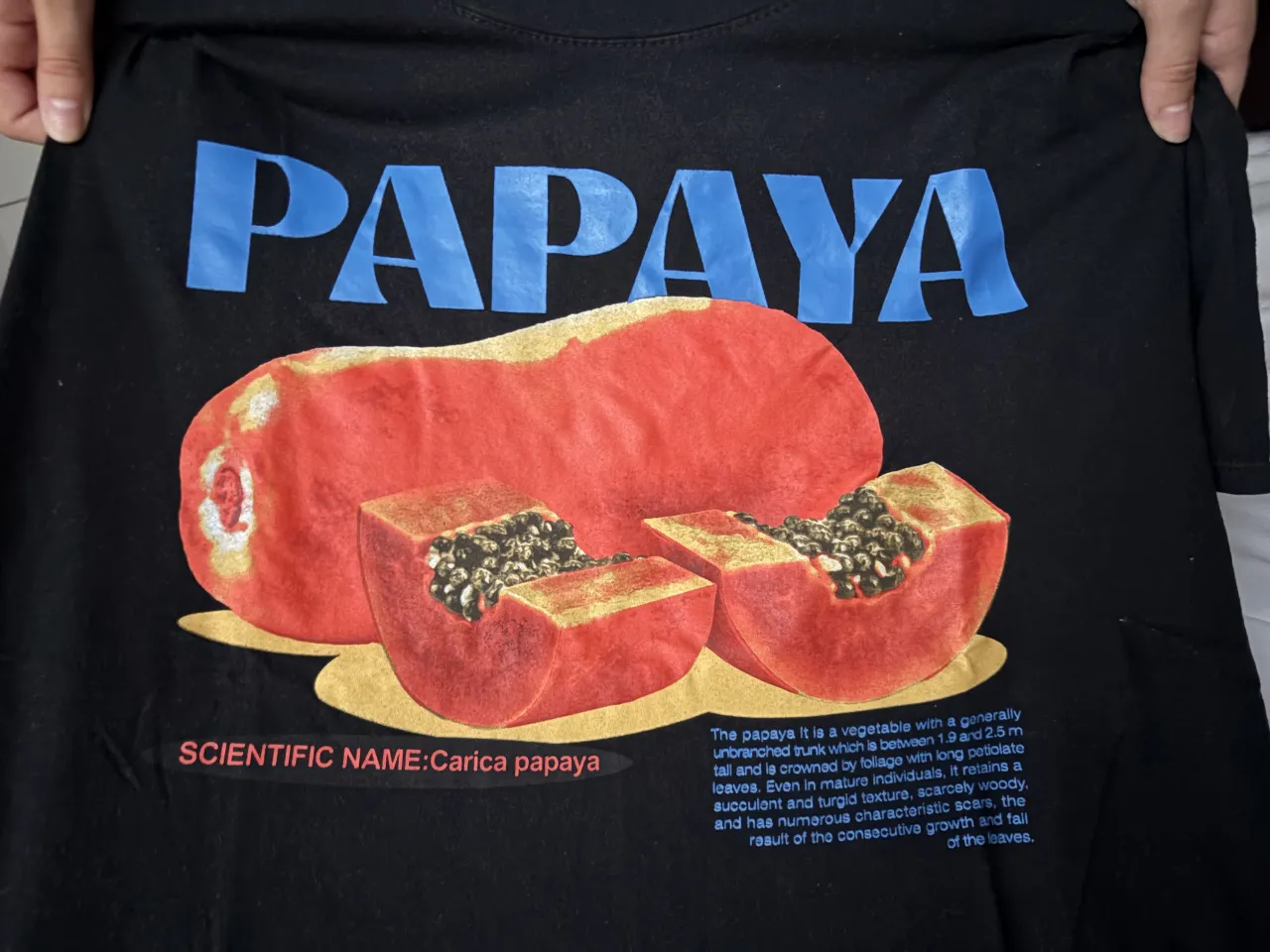 Remera No tiene marca - imagen 3