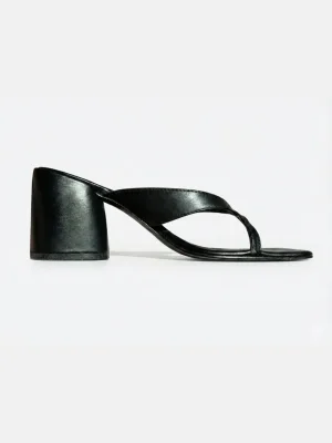 Sarkany